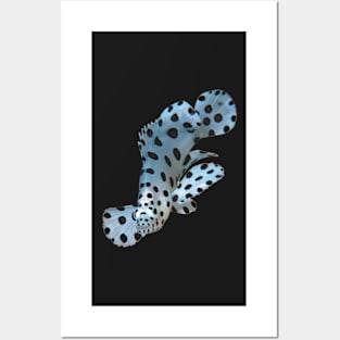 Juvenile Grouper abstract | Underwater Art Floating Fish - variation in black | Posters and Art